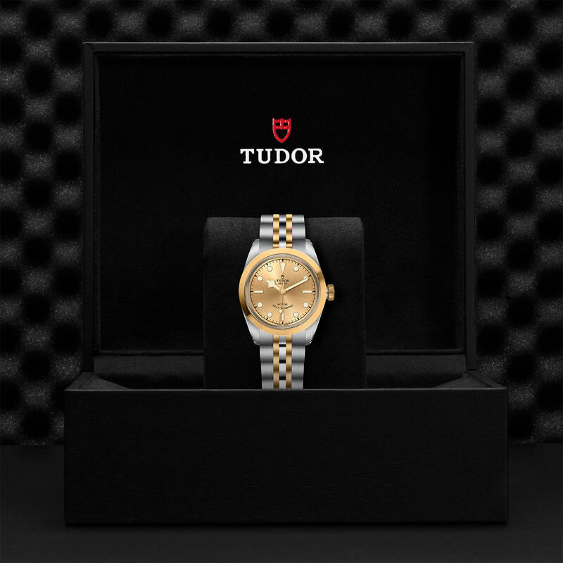 Tudor-TUDOR Black Bay 32 S&G M79583-0002-M79583-0002_2