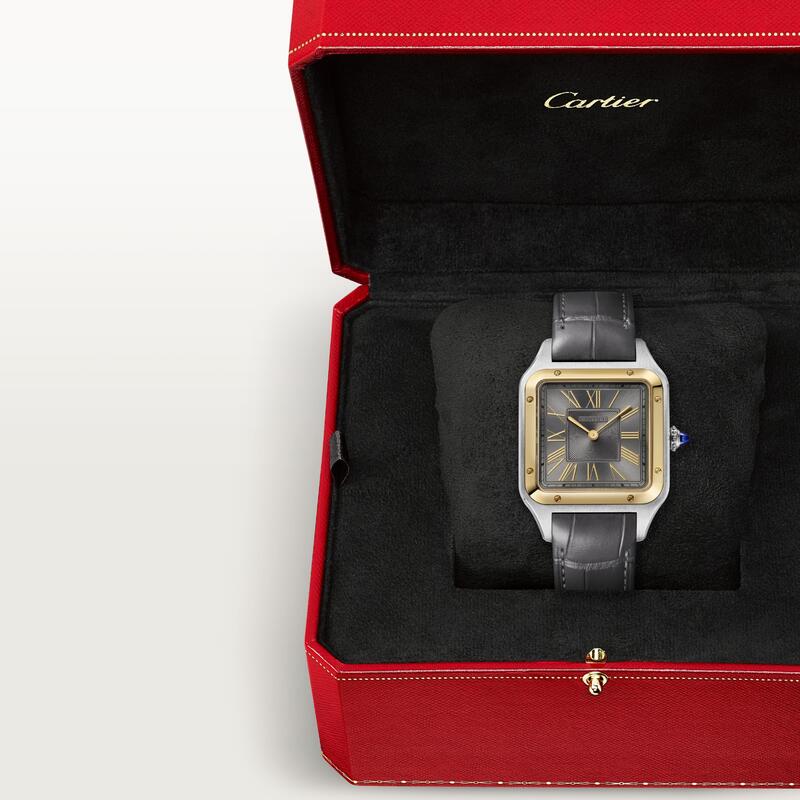 Cartier-Cartier Santos-Dumont Watch W2SA0028-W2SA0028_2