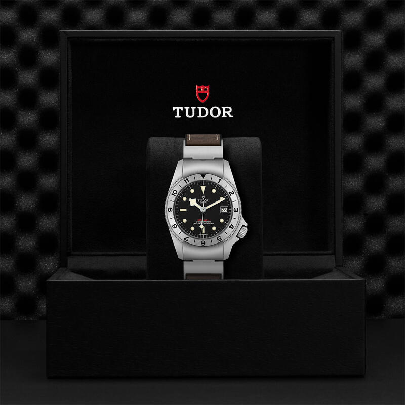 Tudor-TUDOR Black Bay P01 M70150-0001-M70150-0001_2