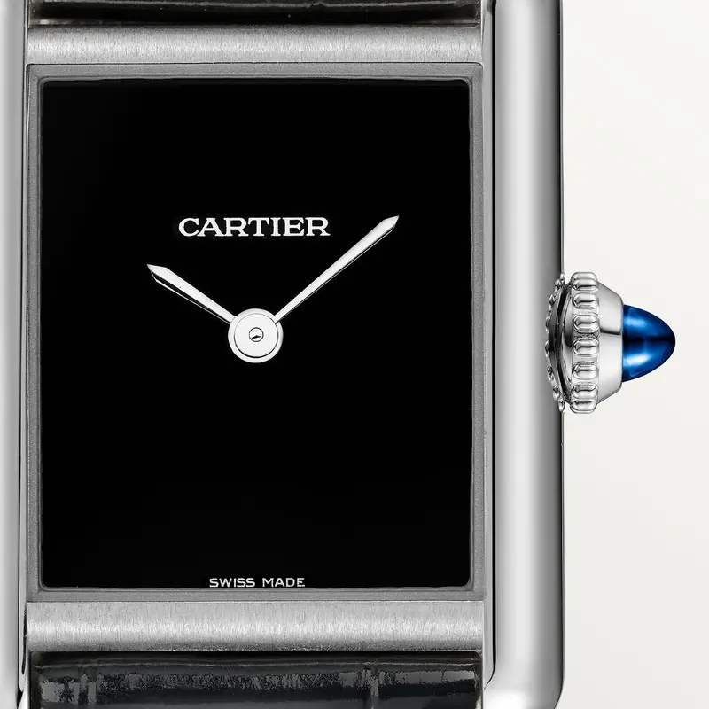 Cartier-Cartier Tank Must de Cartier Watch WSTA0071-WSTA0071_2