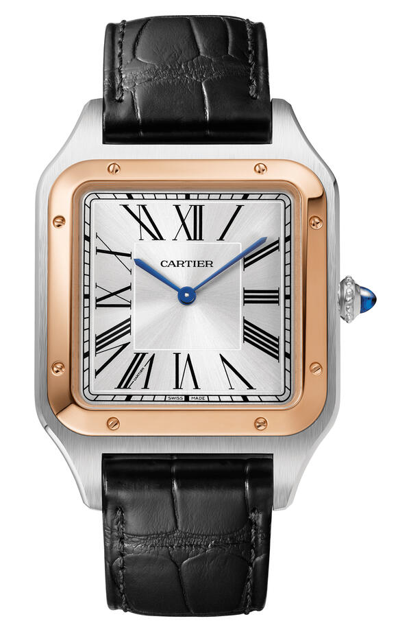 Cartier-Cartier Santos-Dumont Watch W2SA0017-W2SA0017