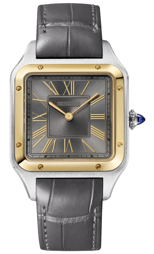 Cartier-Cartier Santos-Dumont Watch W2SA0028-W2SA0028_1